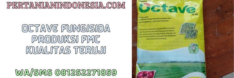 octave,pestisida,fungisida,fmc,octave 50 wp